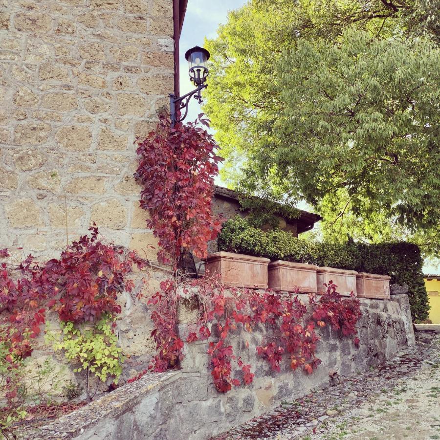 La Locanda Della Chiocciola Orte Dış mekan fotoğraf