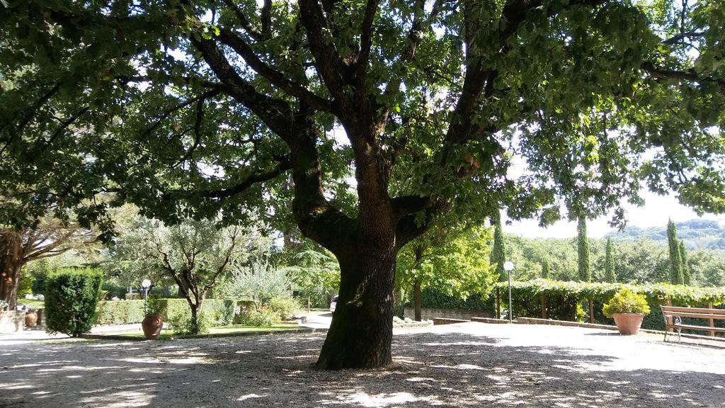 La Locanda Della Chiocciola Orte Dış mekan fotoğraf